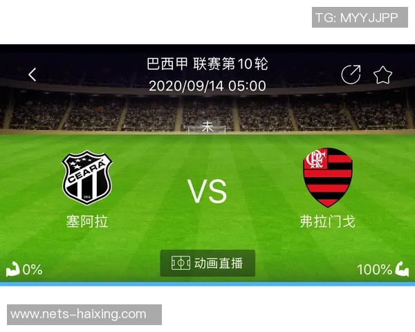 弗拉门戈与塞阿拉精彩对决比分揭晓赛季战绩分析 弗拉门戈与塞阿拉精彩对决比分揭晓赛季战绩分析